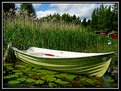 Picture Title - Green Boat