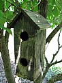 Picture Title - Bird  Condo....