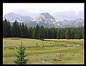 Picture Title - Mountain Durmitor