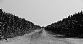 Picture Title - Farm Road