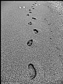 Picture Title - Footprints