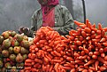 Picture Title - Fresh Carrots!