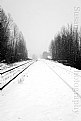 Picture Title - Snowy Rails