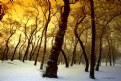 Picture Title - Winter scenery