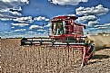 Picture Title - CASE IH