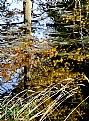 Picture Title - Fall reflection 