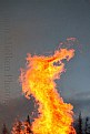 Picture Title - Fire Dragon