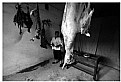 Picture Title - the butcher