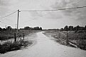 Picture Title - Cross Roads