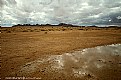 Picture Title - Desert after the rain