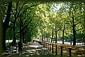 Picture Title - Green Park, London