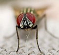 Picture Title - ...