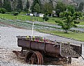 Picture Title - Flower Wagon