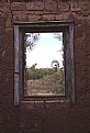 Picture Title - Thru the window