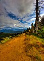 Picture Title - Hiking Trail