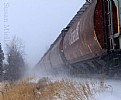 Picture Title - Snowy Journey
