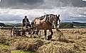 Picture Title - Rolling the Hay