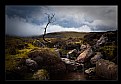 Picture Title - Among the Galtees