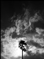 Picture Title - Black & White Clouds