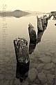 Picture Title - The old Dock