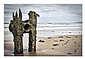 Picture Title - Coastal Decay