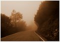 Picture Title - Just around the corner , What to expect
