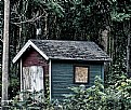 Picture Title - Shed, Flint, Michigan