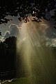 Picture Title - sunshower