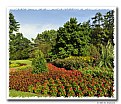 Picture Title - Longwood Gardens (d4770-72)