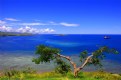 Picture Title - Blue at Port Moresby