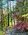 Picture Title - " Walking The Path ",  Photographer Barbara Kite