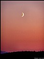 Picture Title - Crescent Moon