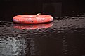 Picture Title - Life Buoy