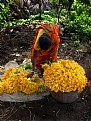 Picture Title - Flower seller