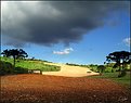 Picture Title - Paraná Rural