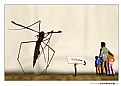 Picture Title - ..::Exhibit::..