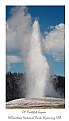 Picture Title - Old Faithful