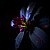 flower in the dark