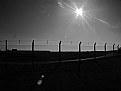 Picture Title - Sun Fence