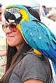 Picture Title - Girl with Parrot