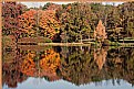 Picture Title - Fall Colors