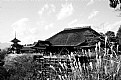 Picture Title - Kiyomizu-Dera