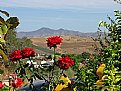 Picture Title - Andalucian Autumn