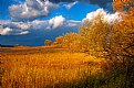 Picture Title - Fall Colors