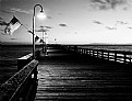 Picture Title - The Pier in b/w