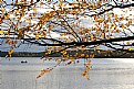 Picture Title - On a lake in autumn.