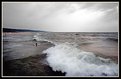 Picture Title - Lone Surfer, Grand Haven, Circa 1998