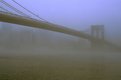 Picture Title - Brooklyn bridge