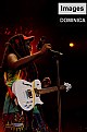 Picture Title - Steel Pulse