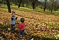 Picture Title - Children in nature